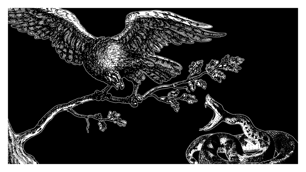 «Snake in the Eagle’s Shadow»: Von der Bruceploitation zu Jackie Chans&nbsp;Aufstieg